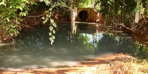 Imagem: Esgoto cainda no Corrego Queixada 021 Esgoto está sendo despejado no Córrego Queixada