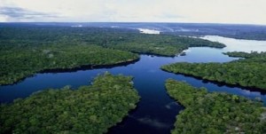 Imagem: amazoniaca Amazônia e Cataratas do Iguaçu são escolhidas entre as Sete Maravilhas Naturais do Mundo