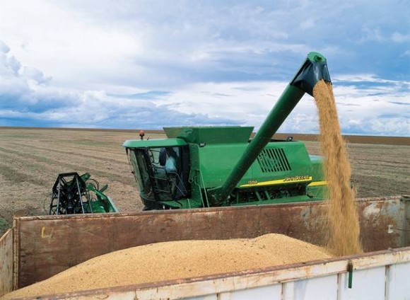 Imagem: SOJA1 MT vira líder na produção de grãos