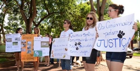 Imagem: manifesto praca brasil Manifestantes buscam punição mais rigorosa contra pessoas que maltratam animais