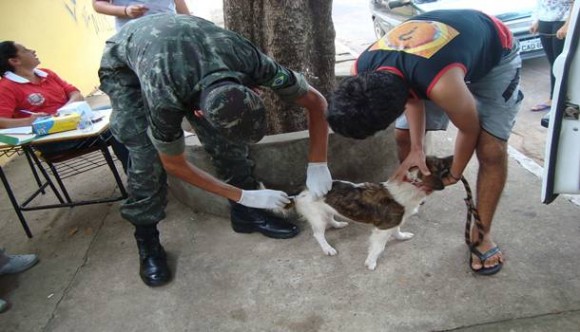Imagem: vacinaçao animal Rondonópolis alcança 81% da meta de vacinação antirrábica