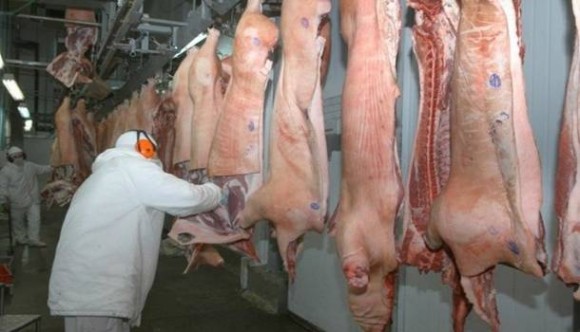 Imagem: carne suína Argentina libera importação de carne suína brasileira