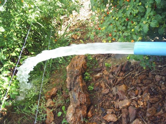 Imagem: AGUA Pequenos municípios terão R$ 5 milhões para projetos de reutilização de água