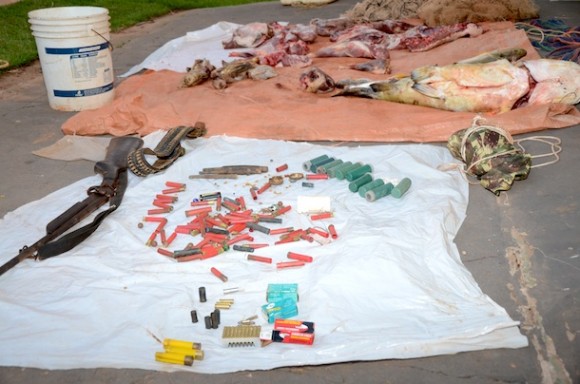 Imagem: Apreesnao de pescado na gleba carima 02 Polícia Ambiental faz apreensão de arma e carne de caça