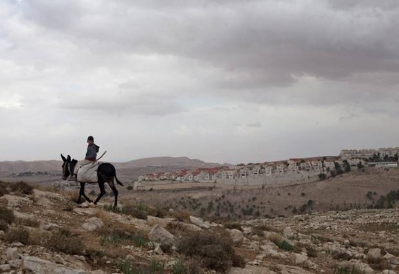 Imagem: BURRO Nova colônia de Israel pode encerrar processo de paz, dizem palestinos