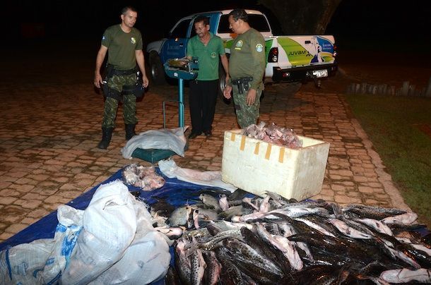 Imagem: Polícia apreende 500 kg de pescado durante Operação Santa  04