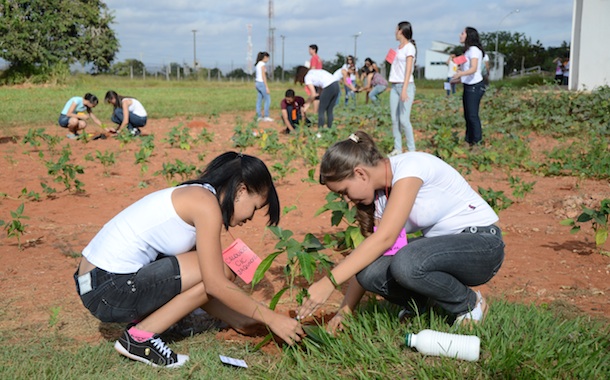 Imagem: Alunas de Ciências Contábeis plantando árvores na UFMT. Foto: Varlei Cordova/AGORA MT