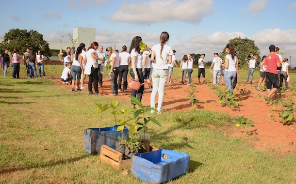 Imagem: Foram plantada mudas de cajueiro, mangueira, brinco de princesa. Foto: Varlei Cordova/AGORA MT