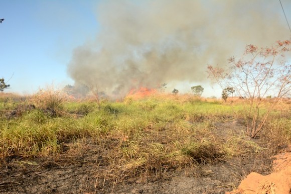 Fogo em vegetação seca  - Foto: Varlei Cordova/ AGORA MT