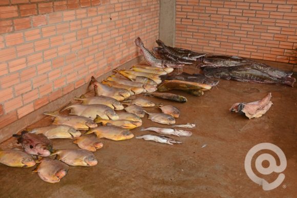 Apreensão ode pescado - Foto: Ronaldo Teixeira / AGORA MT
