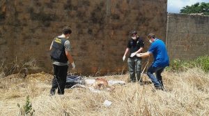 Terreno onde a mala com parte do corpo foi localizada - Foto: Campo Verde News