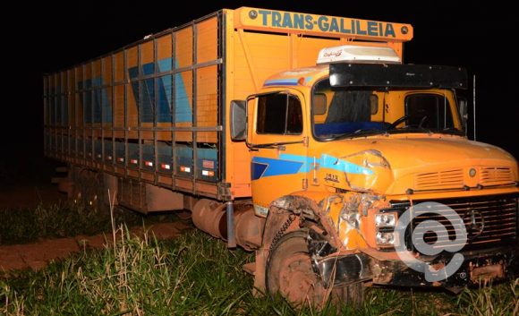 O caminhão invadiu um sítio da região - Foto: Messias Filho / AGORA MT 