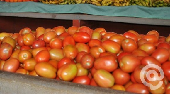 É possível encontrar o fruto nos comércios por quase R$ 7  o quilo - Foto: Ricardo Costa / AGORA MT 
