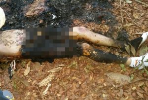 Corpo estava queimado - Foto: Divulgação / PJC