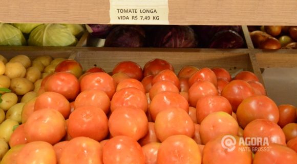 Tomate Longa. Foto: Varlei Cordova/AGORAMT