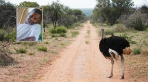 Indícios confirmam morte por ataque de avestruz - Foto: Divulgação