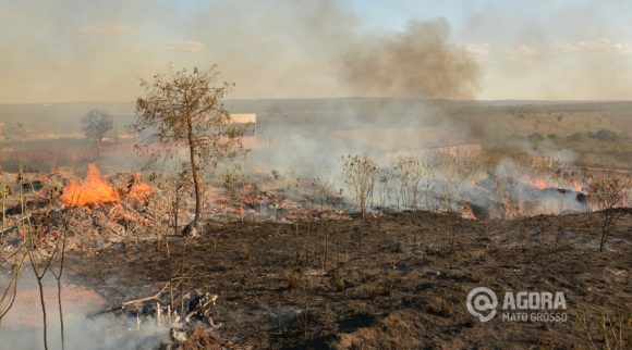 O fogo consumiu toda a área - Foto: Varlei Cordova / AGORA MT
