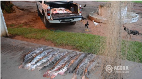 Apreensao de pescado pela Policia Ambiental no Rio Itiquira. Foto:Varlei Cordova/AGORAMT