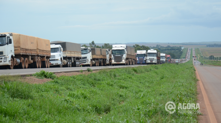 Fila dos caminhoneiros para descarregar na All - Foto: Varlei Cordova / AGORA MT