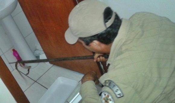 Bombeiros retirando a cobra do banheiro - Foto: Divulgação / Corpo de Bombeiros Militar de Mato Grosso 