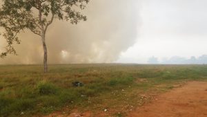 Area de pastagem sendo consumida pelo fogo na Vila Mineira - Foto: Você Reporter