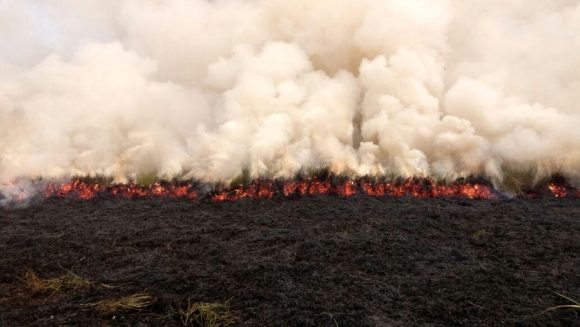Incendio no mato na Vila Mineira - Foto: Você Reporter