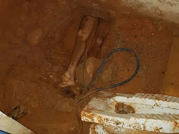 Imagem: Preso ficou com parte do corpo entalado no buraco feito por ele na delegacia em Nova Ubiratã