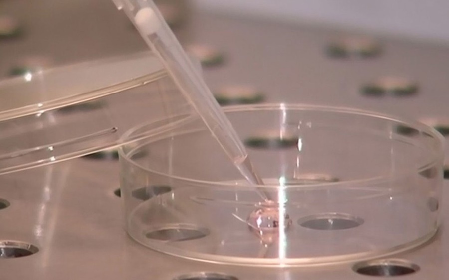 Imagem: Clínicas do Reino Unido poderão fazer fertilização in vitro com técnica de três pai