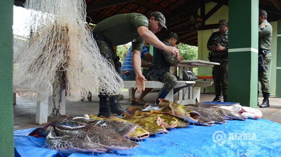 Imagem: Neste periodo de piracema em Mato Grosso e proibido pescar