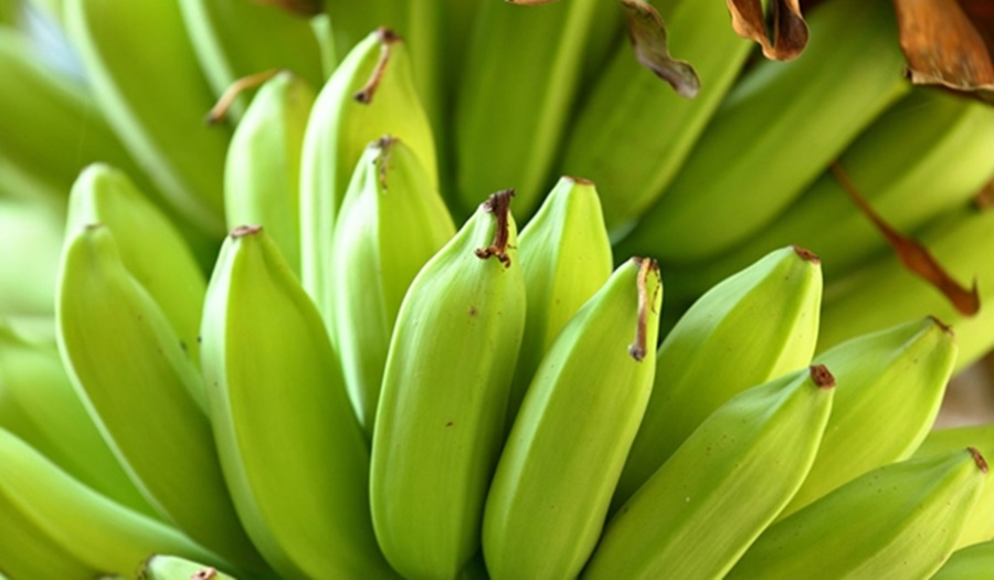 Imagem: banana verde