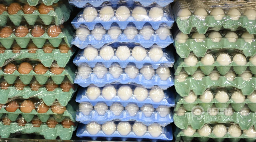 Cartelas de ovos - Foto: Varlei Cordova / AGORA MT