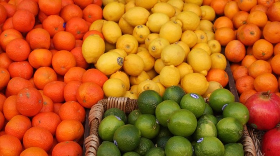 Imagem: Frutas Cítricas