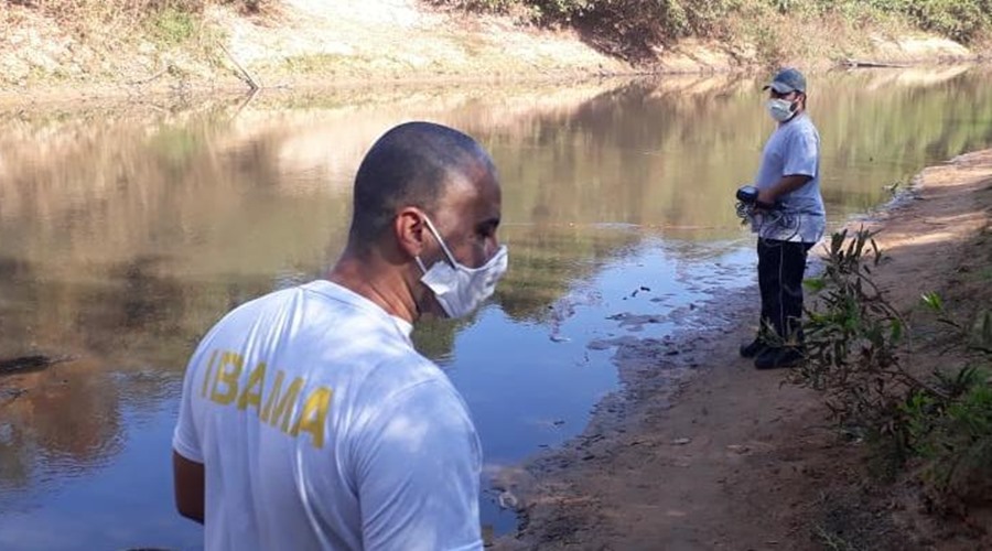 Imagem: Peixes aparecem mortos em varios rios de MT Peixes aparecem mortos Ibama investiga relação com queimadas