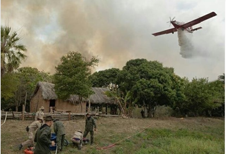 Imagem: incendio Analista do ICMBio morre após sofrer queimaduras durante combate a incêndio
