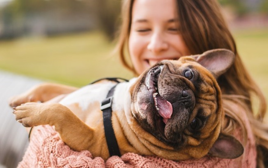 Imagem: cachorro Pesquisa revela que cães entendem quando escutam ‘eu te amo’