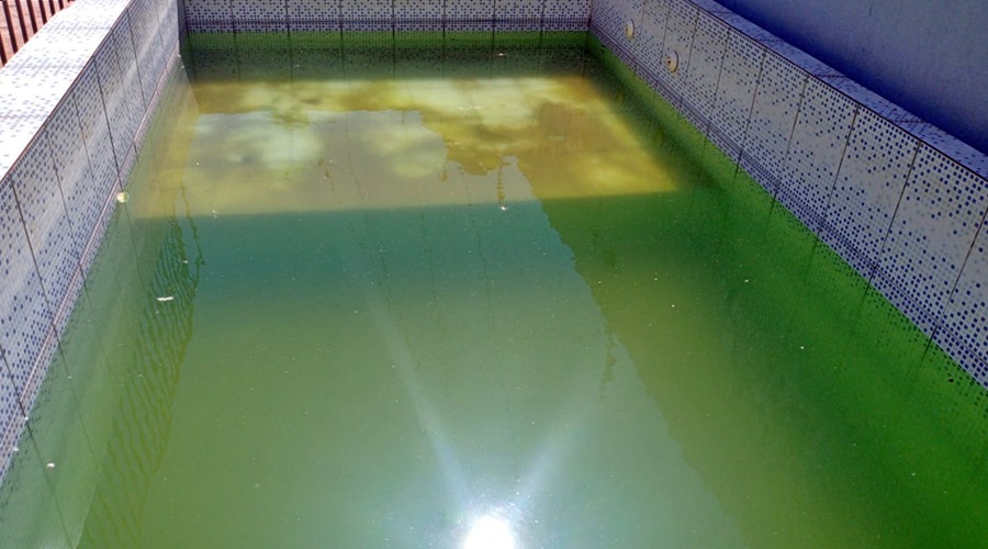 Imagem: Piscina com agua servido de criadoro para o mosquito da dengue No combate a dengue, agentes encontram piscinas com larvas em Rondonópolis