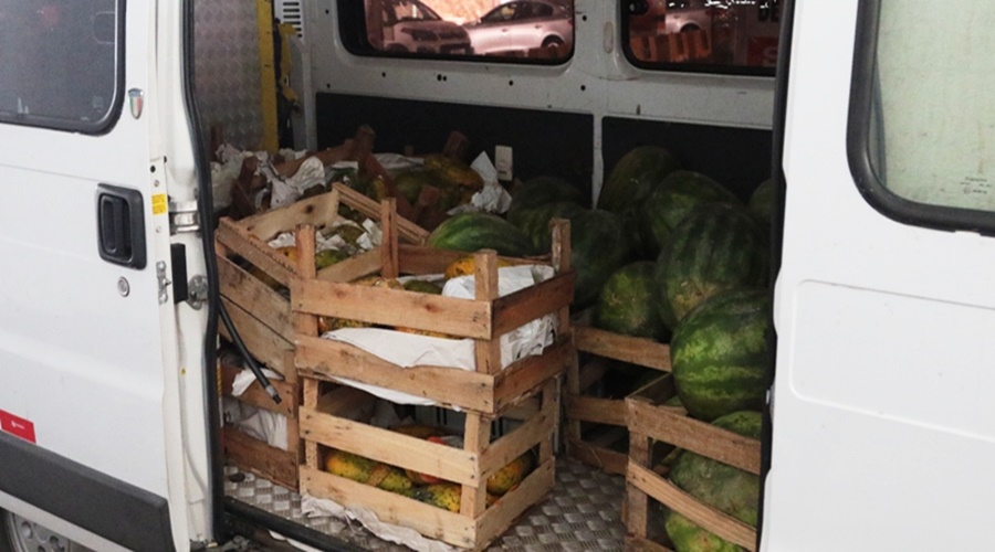 Imagem: doacoes Judiciário recebe doação de mais de 500 quilos de frutas para animais