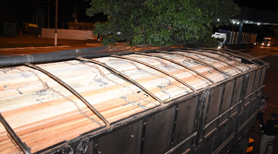 Imagem: madeira apreendida 2 PRF apreende carreta com mais de 30m³ de madeira irregular