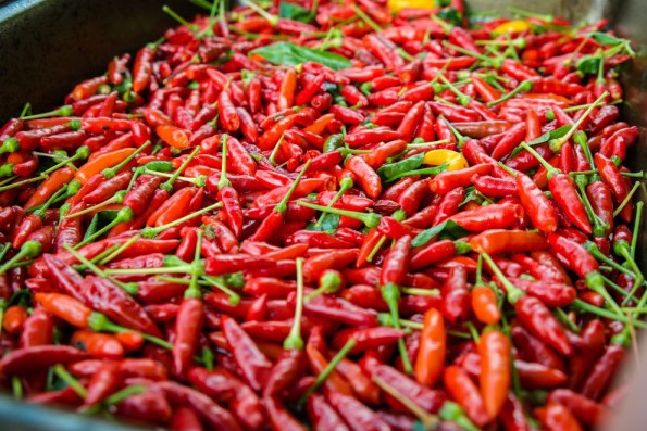 Imagem: pimenta malagueta 60 sementes 5 3 e1495854249746 Consumir pimenta malagueta pode aumentar o tempo de vida