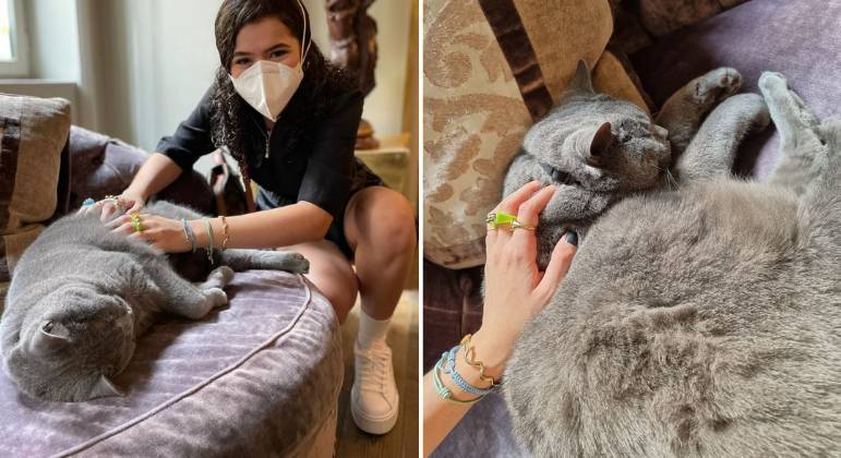 Imagem: maisa gato 'Meteram meus 16 anos de carreira no bueiro', diz Maisa para hater