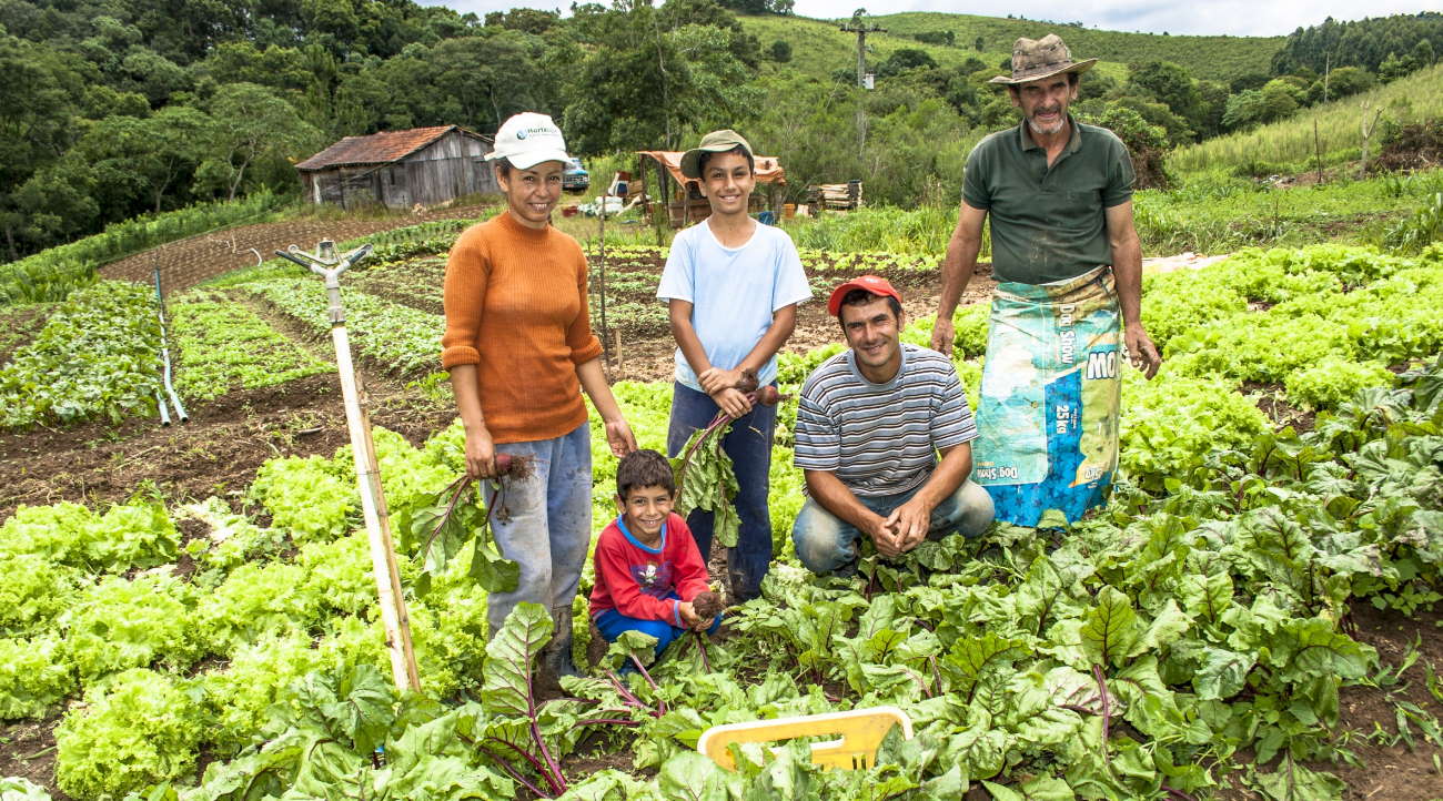 Imagem: agricultura familiar Lei prorroga auxílio de R$ 2,5 mil para agricultores familiares