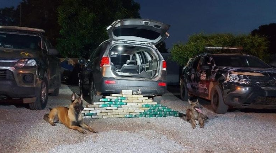 Imagem: Gefron apreende 67 kg de cocaina arma e recupera veiculos em regiao de fronteira Gefron apreende cocaína e recupera veículos roubados em região de fronteira