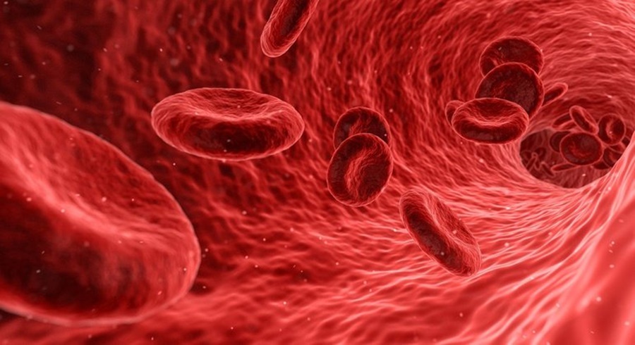Imagem: Nanocristais nao causaram nenhum dano as celulas humanas no estudo realizado em laboratorio Cientistas criam método que reduz efeitos colaterais da quimioterapia
