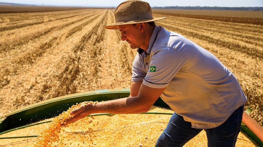 Imagem: Producao agropecuaria Mato Grosso lidera produção agropecuária brasileira por 4 anos consecutivos