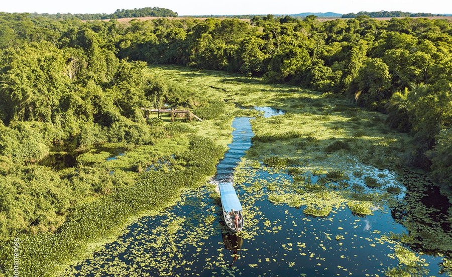 Imagem: Pantanal Pantanal e Bonito são opções para conhecer o melhor do ecoturismo brasileiro