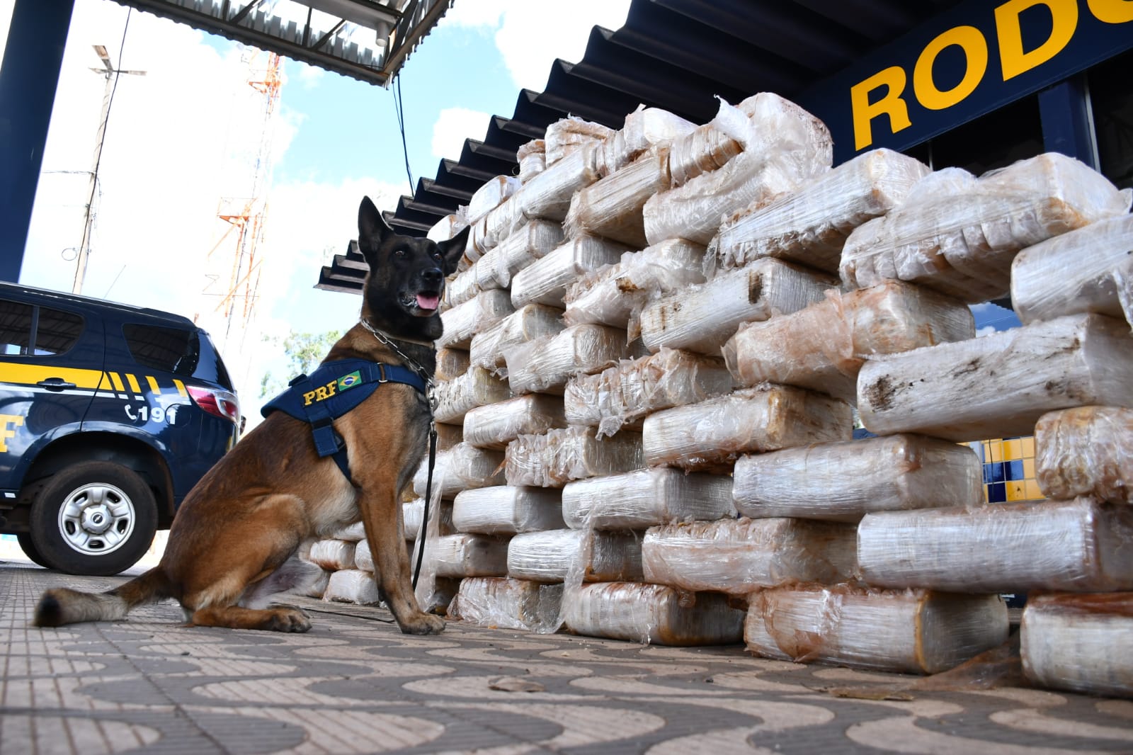 Imagem: k9 Pesagem oficial da PRF totaliza 807 kg de cocaína