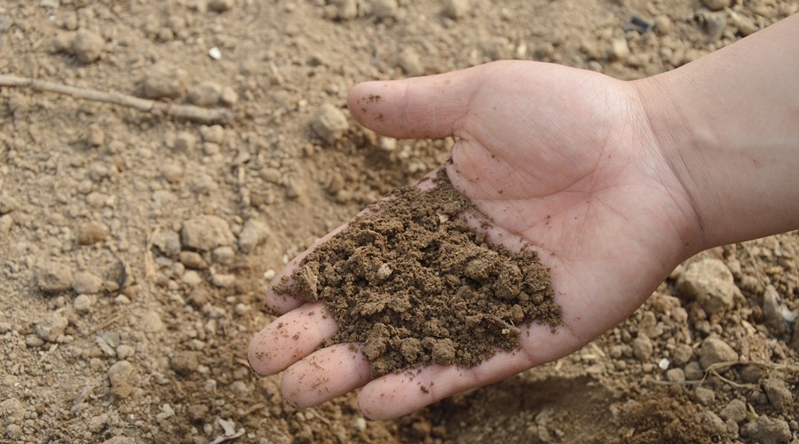Imagem: soil ga25d59c51 1920 Como utilizar de forma eficiente os fertilizantes em solos argilosos