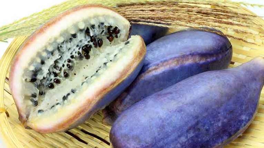 Imagem: Akemi Conheça 4 das frutas mais raras do mundo