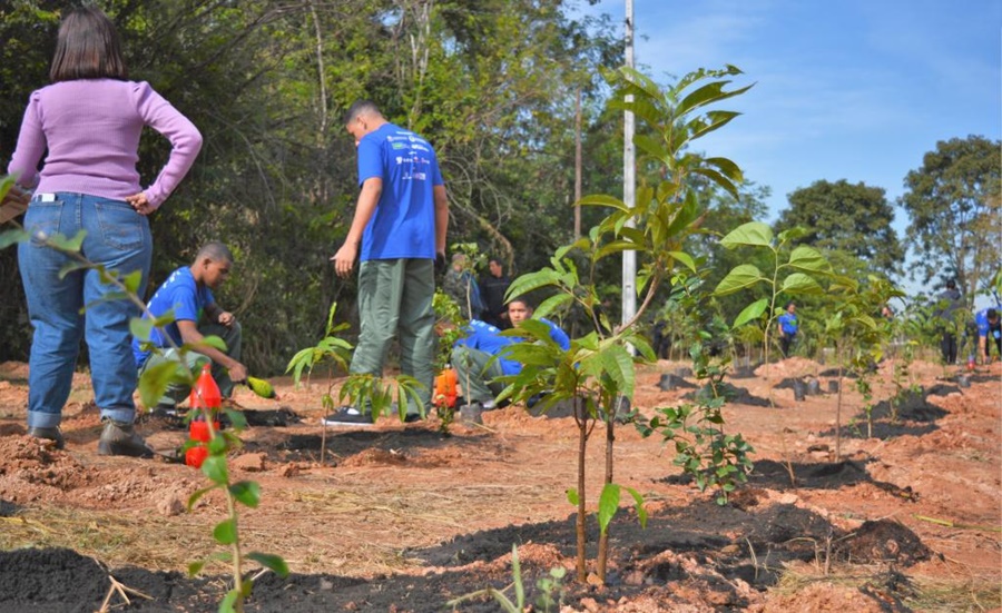Imagem: Plantio de arvores frutiferas pelo socioeducandos Adolescentes participam de projeto para recuperação da nascente do Parque das Águas