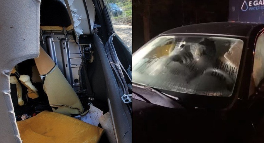 Imagem: urso carona carro sogra Urso é flagrado no banco do carona após vandalizar carro da sogra de morador